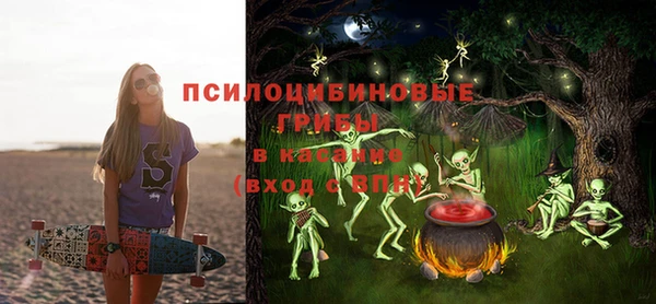 молекула духа Алзамай