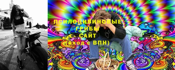 молекула духа Алзамай